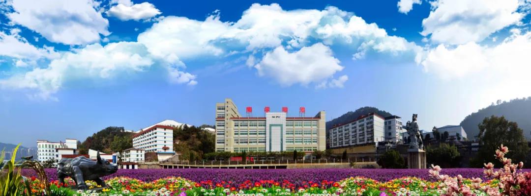 创世红海·(中国区)有限公司官网